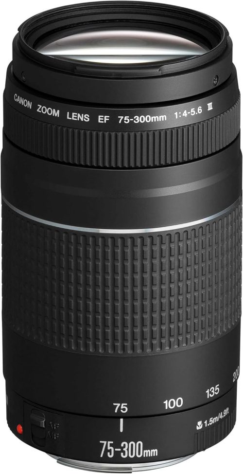 Canon Teleobiettivo Zoom, EF 75-300 mm f/4-5.6 III [Versione EU]