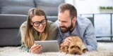Come i gadget intelligenti stanno rivoluzionando la proprietà degli animali domestici